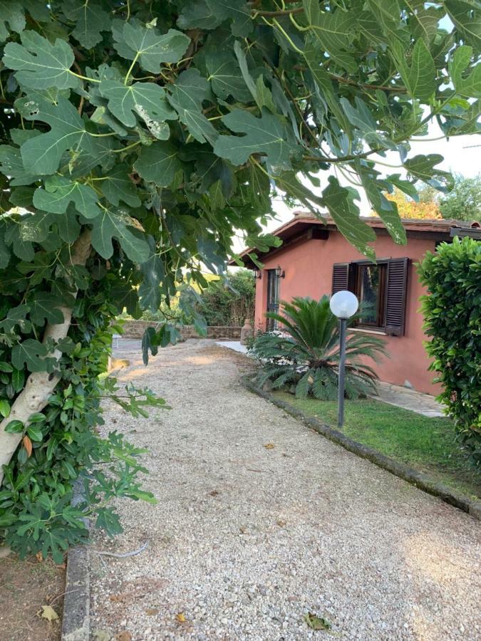 فيلا La Casa Di Irene Nel Golf Club روما المظهر الخارجي الصورة